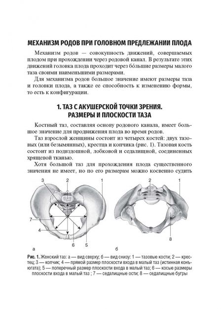 Фотография книги "Савельева, Курцер, Сичинава: Механизм родов при головном предлежании плода. Учебное пособие"