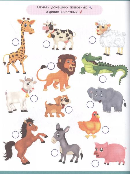 Фотография книги "Сборник заданий для дошкольника. Тренажёры. Математика, Русский язык, Окружающий мир"