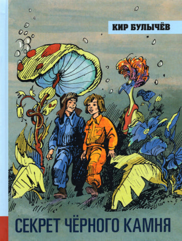 Обложка книги "Секрет чёрного камня"