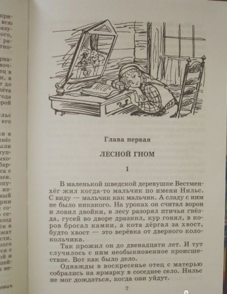 Фотография книги "Сельма Лагерлеф: Чудесное путешествие Нильса с дикими гусями"