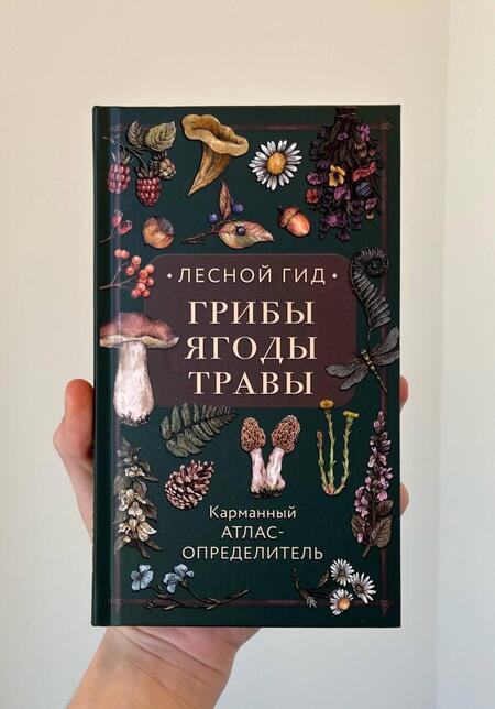 Фотография книги "Семенова: Лесной гид. Грибы, ягоды, травы. Карманный атлас-определитель"