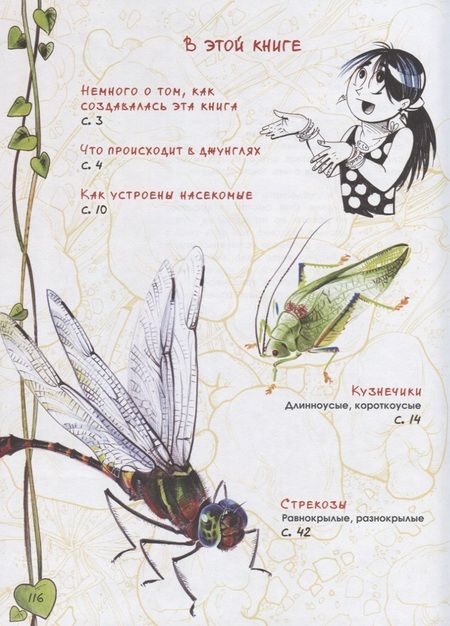 Фотография книги "Семенюк: В джунглях не только тигры. Бабочки-стрекозки"