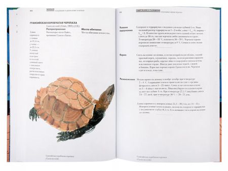 Фотография книги "Сергей Кудрявцев: Черепахи. Содержание и разведение в неволе"