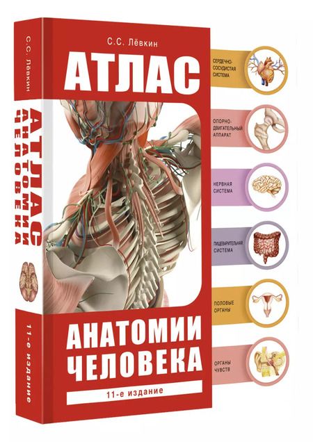 Фотография книги "Сергей Левкин: Атлас анатомии человека"
