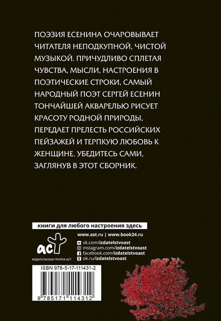 Фотография книги "Сергей Есенин: И опять и живу, и надеюсь"