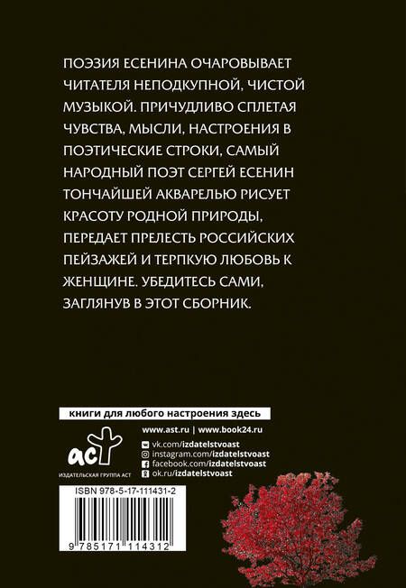 Фотография книги "Сергей Есенин: И опять и живу, и надеюсь"