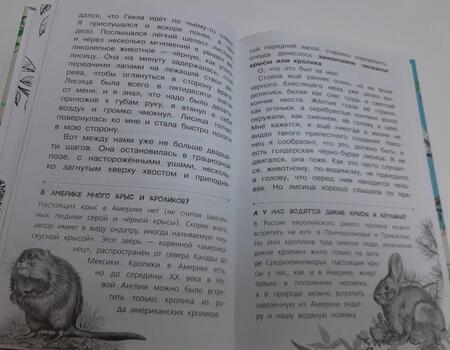 Фотография книги "Сетон-Томпсон: Рассказы о природе"