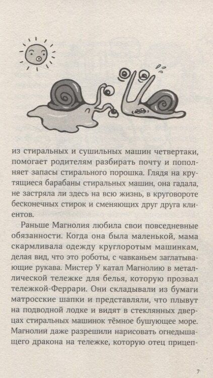 Фотография книги "Шанель Миллер: Магнолия У раскрывает тайны потерянных носков"