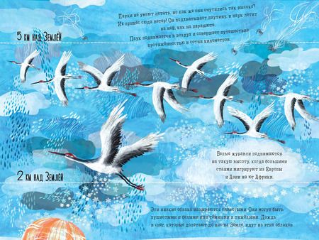 Фотография книги "Шарлотта Гийен: Что скрыто за облаками?"