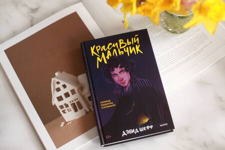 Фотография книги "Шефф: Красивый мальчик. Правдивая история отца, который боролся за сына"