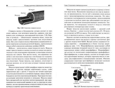 Фотография книги "Шимчук: Основы анатомии и физиологии кожи и волос. Учебное пособие. ФГОС"