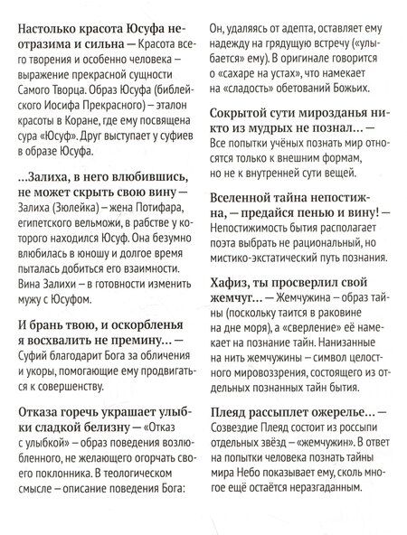 Фотография книги "Ширази Хафиз: Отшельник винной чаши (перевод и комментарий Д. Щедровицкого)"