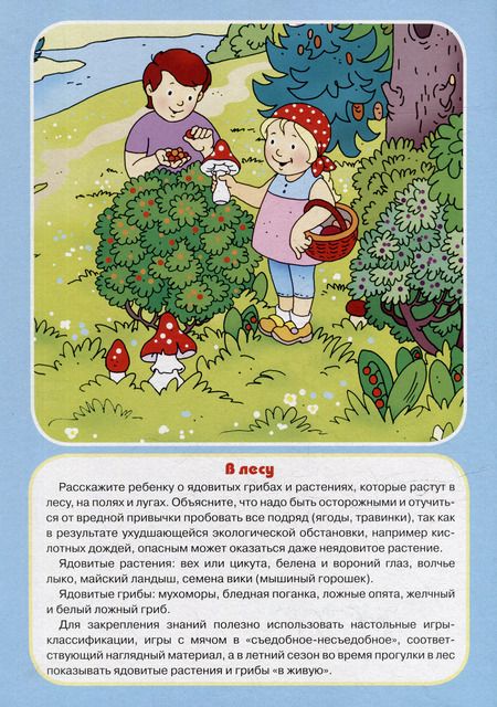 Фотография книги "Ширмочки. ОБЖ. Опасные предметы и явления. Тематический уголок для детей и родителей"