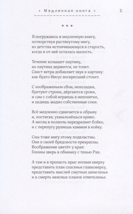 Фотография книги "Шмаков: Озёра. Стихотворения 2016-2017 гг."