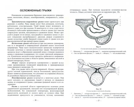 Фотография книги "Шнякина, Щербаков, Сткпанова: Абдоминальные грыжи у животных. Лечение и профилактика Учебное пособие для СПО"