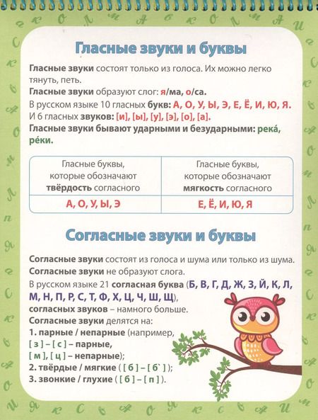Фотография книги "Шпаргалки. Книга отличника"