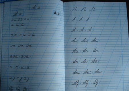 Фотография книги "Сычёва: Тренажер по чистописанию для начальной школы. Выпуск 1"