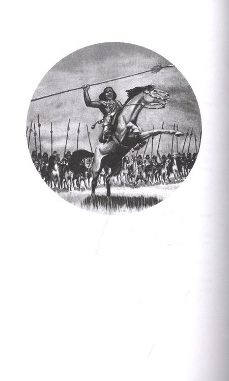 Фотография книги "Сын гаучо"