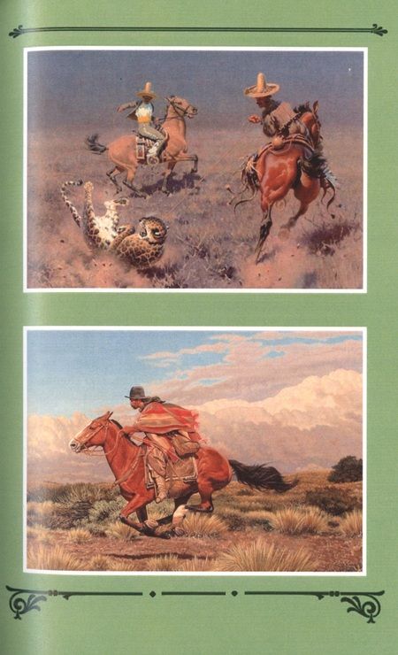Фотография книги "Сын гаучо"