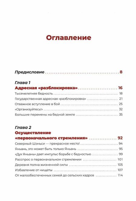 Фотография книги "Син Сяоцзюнь: Государственная стратегия"