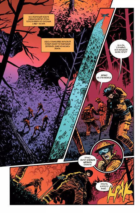 Фотография книги "Скотт Снайдер: Тёмные места: Лесной пожар"