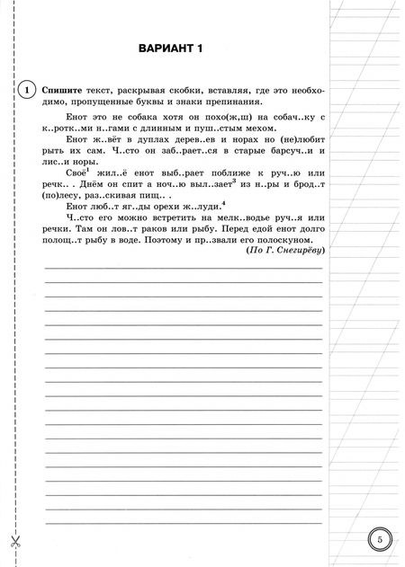 Фотография книги "Скрипка, Скрипка: ВПР. Русский язык. 5 класс. 10 вариантов. Типовые задания. ФГОС"