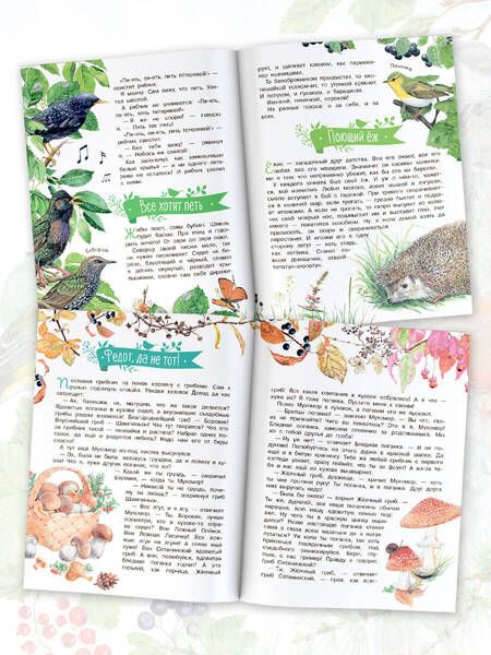 Фотография книги "Сладков: Лесные сказки"