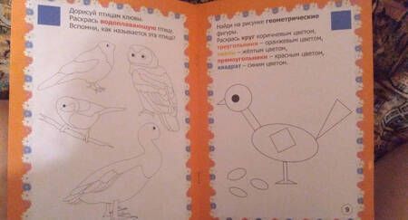 Фотография книги "Славина: Мир птиц в заданиях и играх. Из серии "Ознакомление с окружающим миром". Для детей 5-7 лет. ФГОС ДО"
