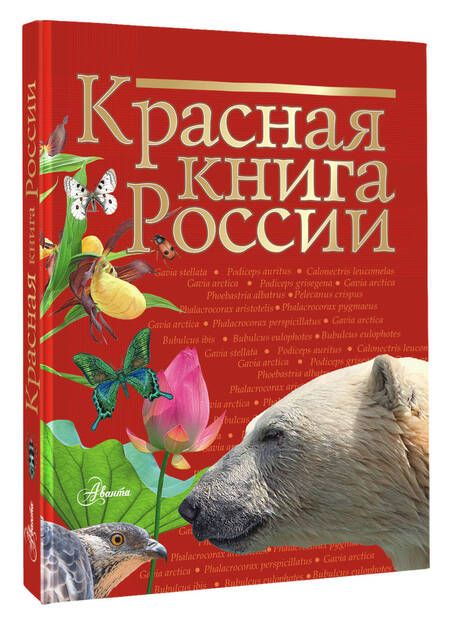 Фотография книги "Снегирева, Дунаева, Новичонок: Красная книга России"