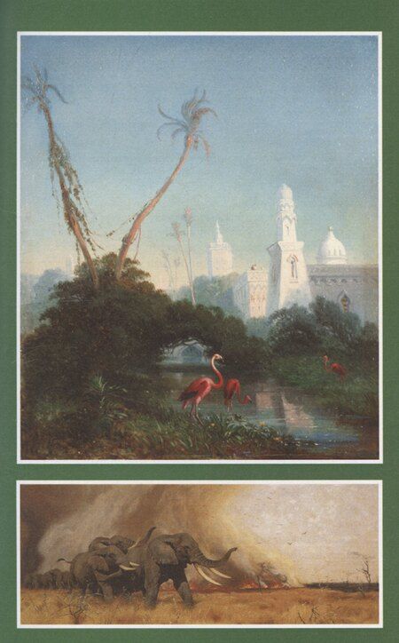 Фотография книги "Софи Ворисгофер: Через дебри и пустыни. Том 2"