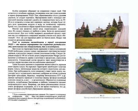 Фотография книги "Сокольская, Пычин, Вергунова: Ландшафтная архитектура. Сохранение и изучение территорий памятников деревянного зодчества"