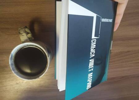 Фотография книги "Солодилова: Смысл ищет Марию"