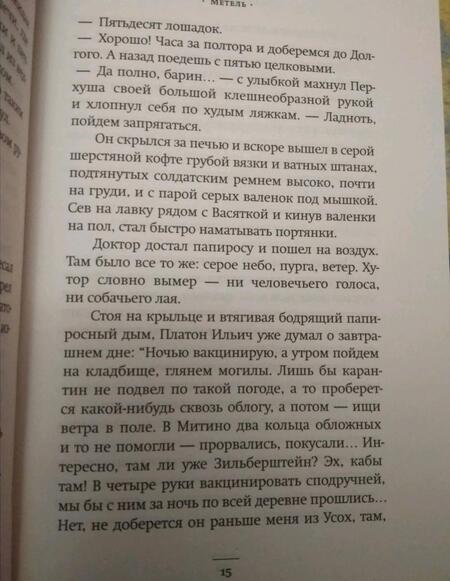 Фотография книги "Сорокин: Метель"