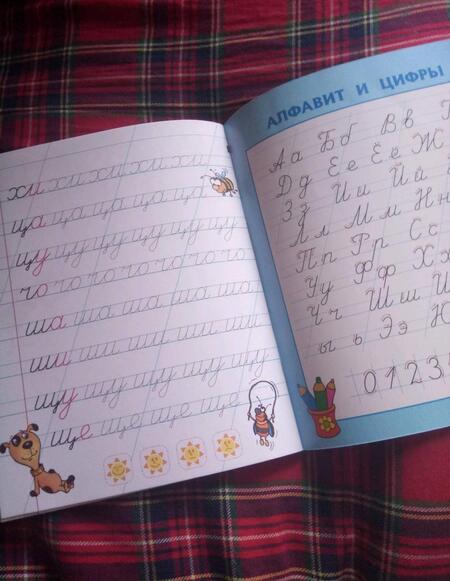 Фотография книги "Станислав Петренко: Пишем буквы по линеечкам (3-6 лет)"