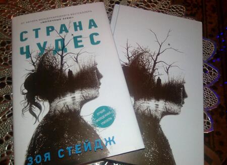 Фотография книги "Стейдж: Страна чудес"