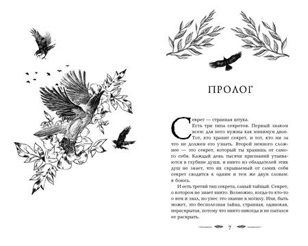 Фотография книги "Стивотер: Вороновый круг. Похитители снов"