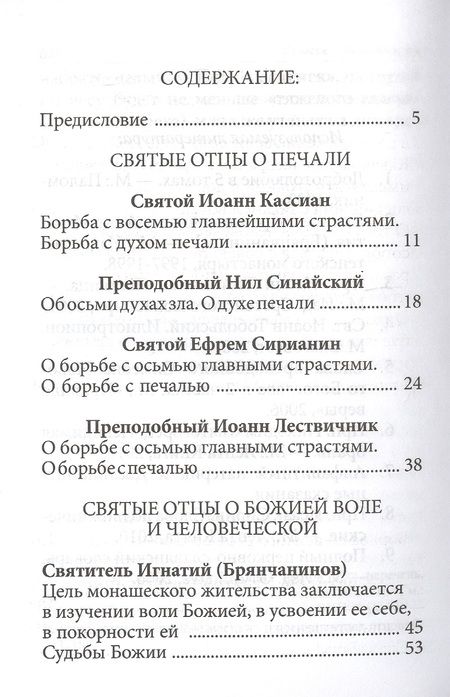 Фотография книги "Страсти - болезни души: Печаль и борьба с нею. Святоотеческое учение и современная практика. 2-е изд"