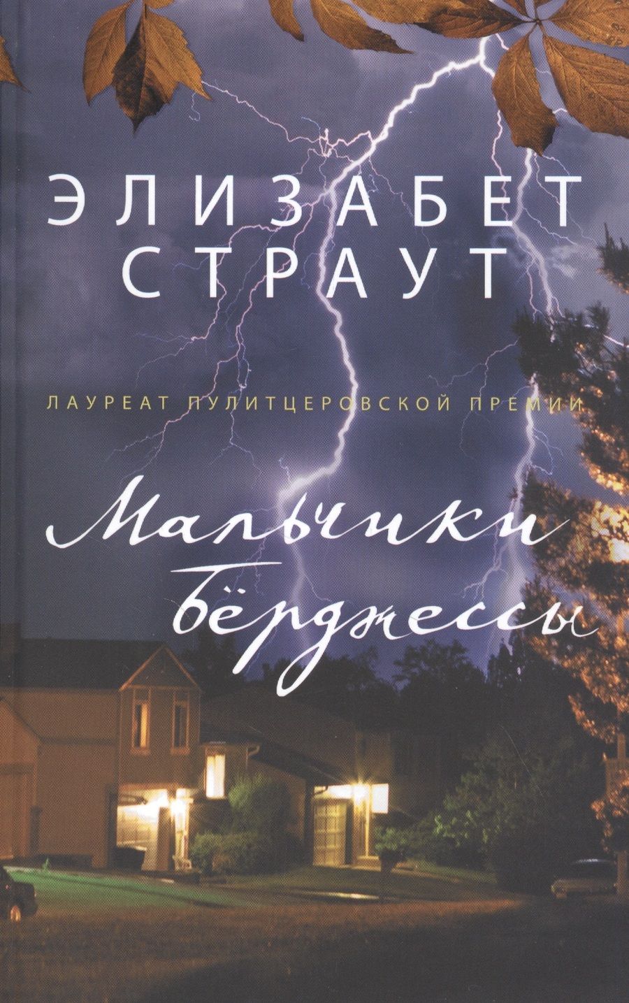 Обложка книги "Страут: Мальчики Бёрджессы"