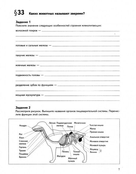 Фотография книги "Сухова, Шаталова: Биология. 7 класс. Рабочая тетрадь. Часть 2"