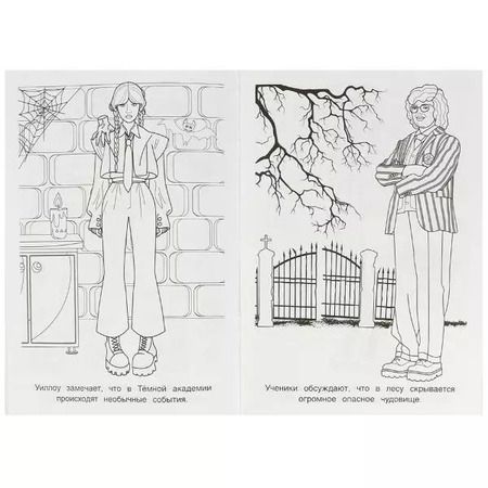 Фотография книги "Супер-раскраска. 32 картинки. Тайны академии"