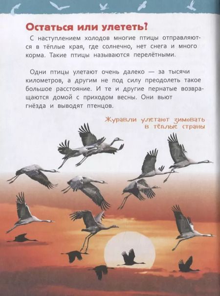 Фотография книги "Светлана Гальцева: Птицы"