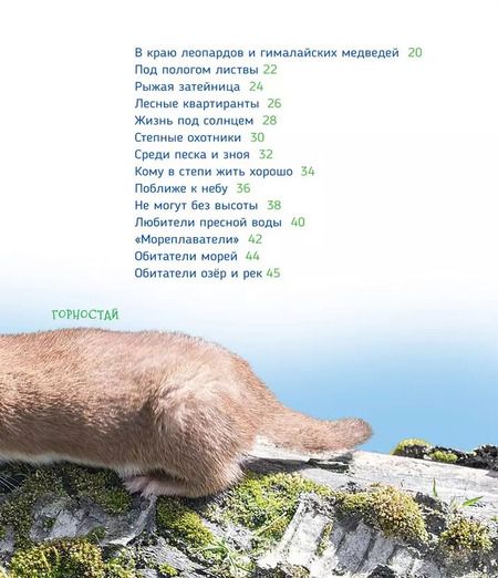 Фотография книги "Светлана Гальцева: Животные России"