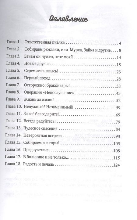 Фотография книги "Светлана Крутова: Каникулы на "5+", или Незабываемое лето Кеши и Гоши"