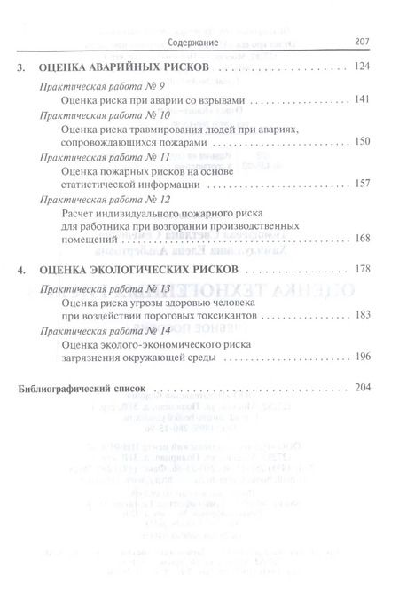 Фотография книги "Светлана Тимофеева: Оценка техногенных рисков"