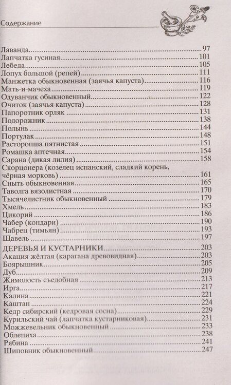 Фотография книги "Светлана Цветаева: Блюда из дикорастущих растений. Неиссякаемый источник витаминов к вашему столу"
