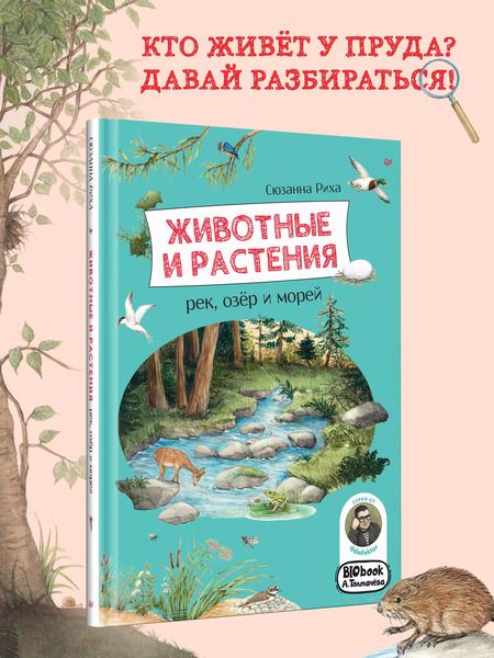 Фотография книги "Сюзанна Риха: Животные и растения рек, озёр и морей. BIObook А. Толмачёва"