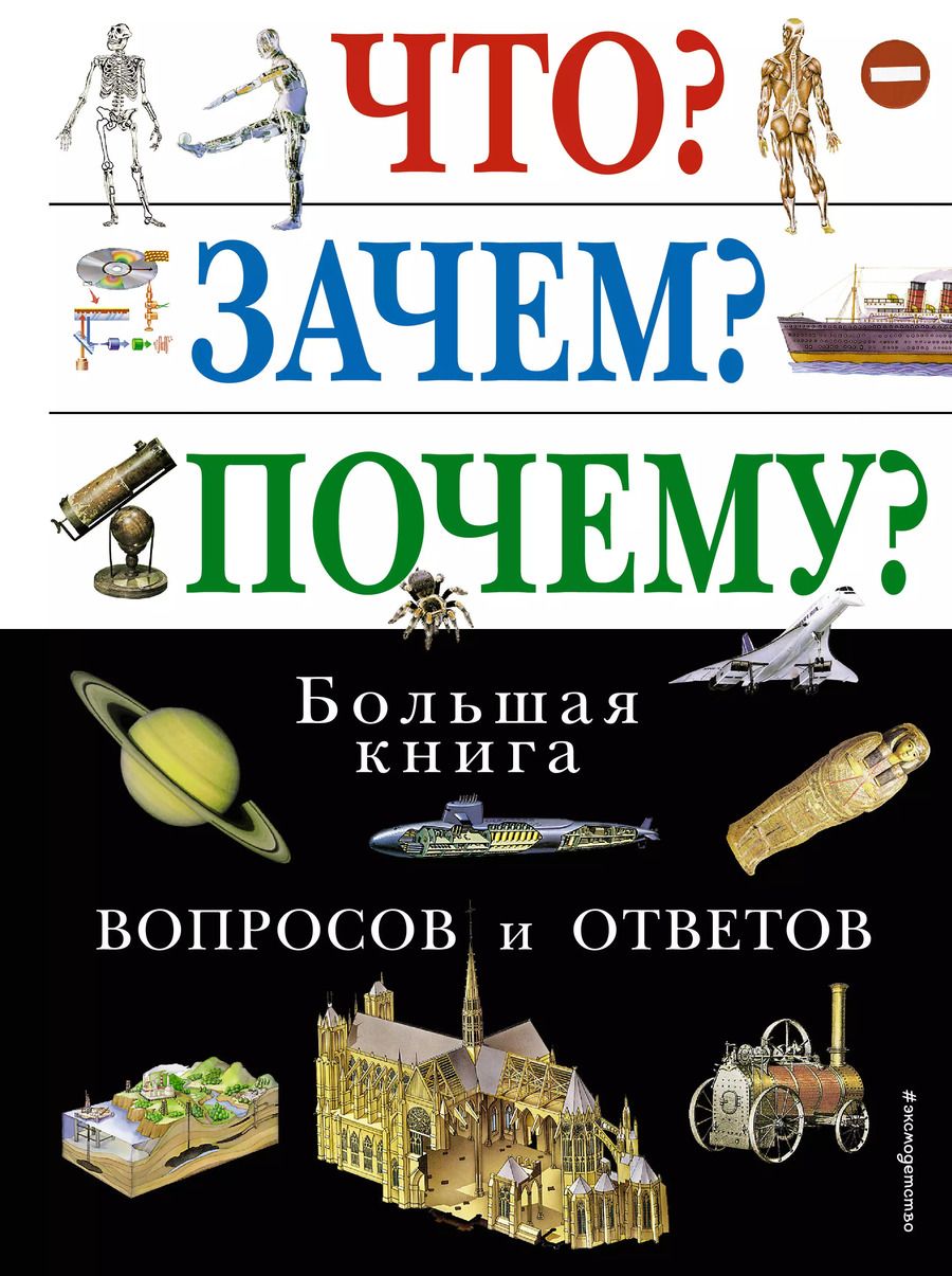 Обложка книги "Т. Дегтярёва: Что? Зачем? Почему? Большая книга вопросов и ответов."