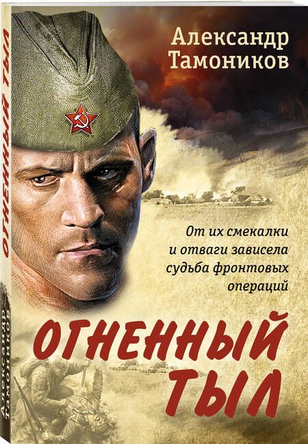 Фотография книги "Тамоников: Огненный тыл"