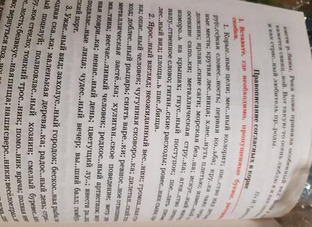 Фотография книги "Татьяна Балуш: Русский язык. 5 класс. Тренажер по орфографии и пунктуации"