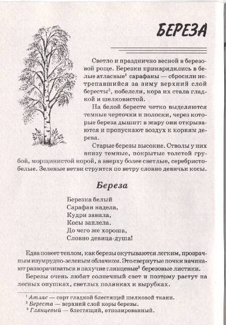 Фотография книги "Татьяна Шорыгина: Деревья. Какие они? Книга для воспитателей, гувернеров и родителей"